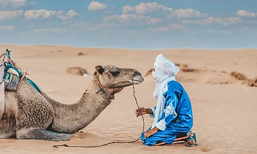 Best Tour Fes to Merzouga & Marrakech 6 Days